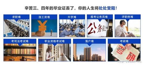2025年北京檔案存放服務(wù)指南 升職貓全程跟進(jìn)，助力信息咨詢